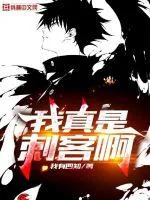 《我真是刺客啊》小说封面