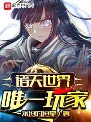 《诸天世界唯一玩家》小说封面