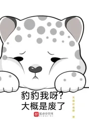 《豹豹我呀？大概是废了》小说封面