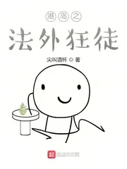 《港岛之法外狂徒》小说封面