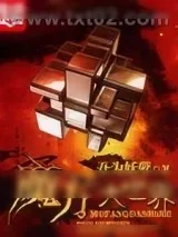 《魔方大世界》小说封面