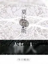 《莫比乌斯情人》小说封面