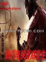 《新闪电侠漫威重生》小说封面