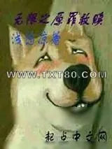 《无限之原罪救赎》小说封面
