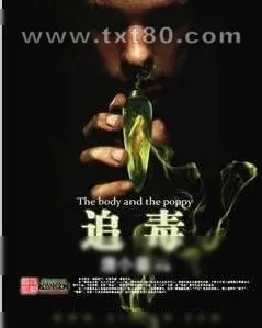 《追毒》小说封面