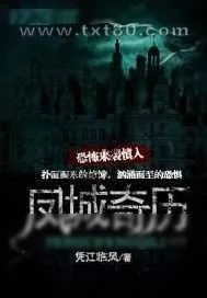 《凤城奇历》小说封面