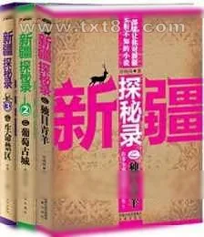 《新疆探秘录》小说封面