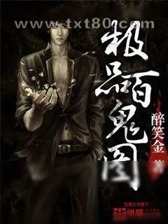 《极品百鬼图》小说封面