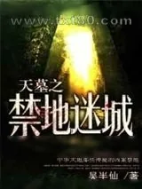 《天墓之禁地迷城》小说封面