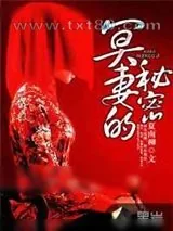 《冥妻的秘密》小说封面