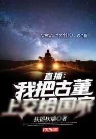 《直播：我把古董上交给国家》小说封面