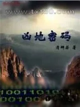 《凶地密码》小说封面