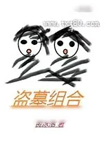 《盗墓组合》小说封面