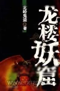 《龙楼妖窟》小说封面