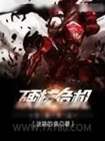 《硬核危机》小说封面