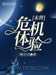 《末世危机体验》小说封面