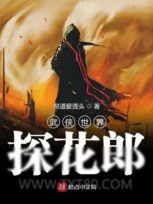 《武侠世界探花郎》小说封面