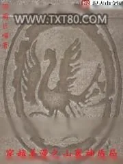 《穿越美漫之山寨神盾局》小说封面