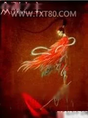 《众魂之主》小说封面