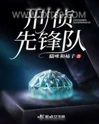 《刑侦先锋队》小说封面