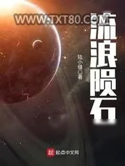 《流浪陨石》小说封面