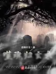 《噬魂归玄录》小说封面