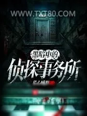 《黑暗中的侦探事务所》小说封面