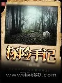 《探险手记》小说封面