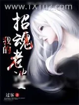 《我的招魂老婆》小说封面