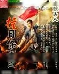 《抗日保安团》小说封面