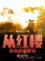 《从红楼开始拯救名著》小说封面