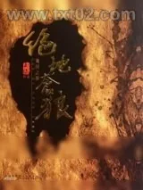 《绝地苍狼》小说封面