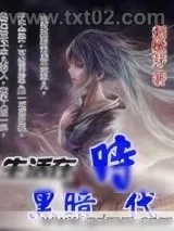 《生活在黑暗时代》小说封面