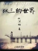 《张三的世界》小说封面