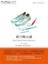 《荷兰鞋之谜》小说封面