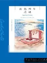 《蓝色列车之谜》小说封面