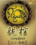 《龙棺》小说封面