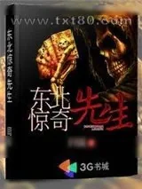 《东北惊奇先生》小说封面