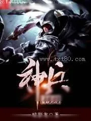 《神兵利刃》小说封面