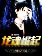 《龙魂崛起》小说封面