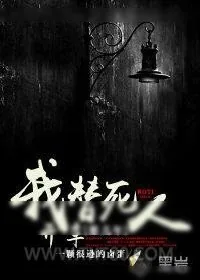 《我替死人开车那几年》小说封面