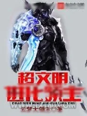 《超文明进化领主》小说封面