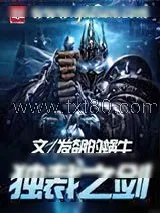 《独裁之剑》小说封面