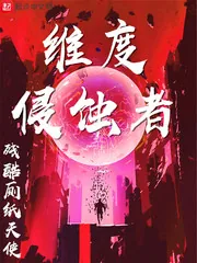 《维度侵蚀者》小说封面