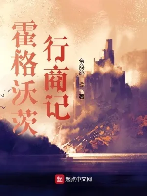 《霍格沃茨行商记》小说封面