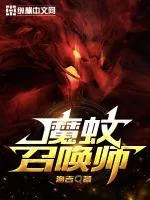 《魔蚊召唤师》小说封面