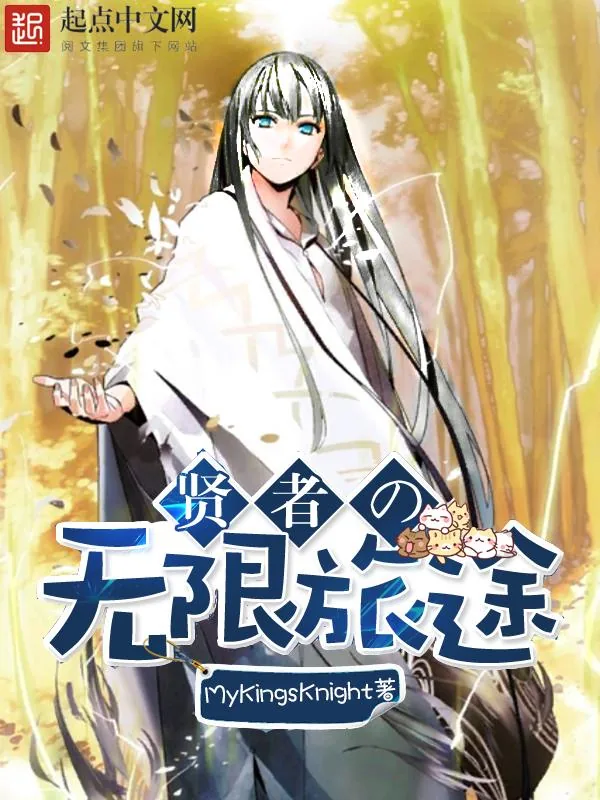 《贤者的无限旅途》小说封面