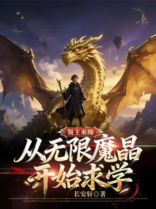 《领主巫师：从无限魔晶开始求学！》小说封面