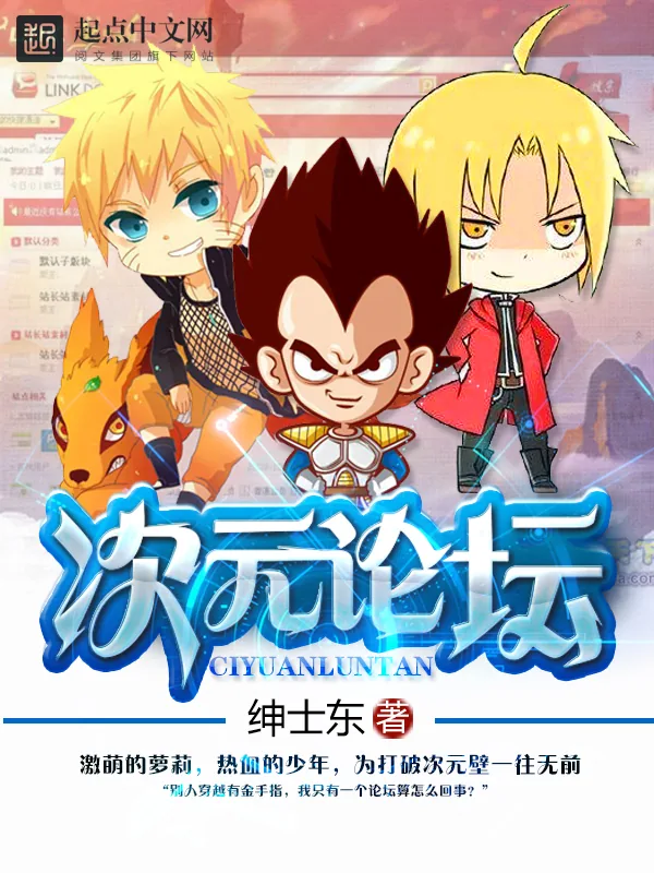 《次元论坛》小说封面