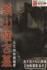 《迷踪雾影之镇山钟古墓》小说封面